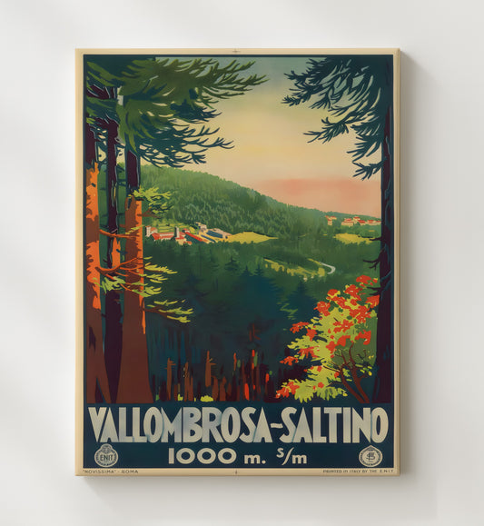 Vallombrosa Saltino Italy - Travel - 20x24 Canvas