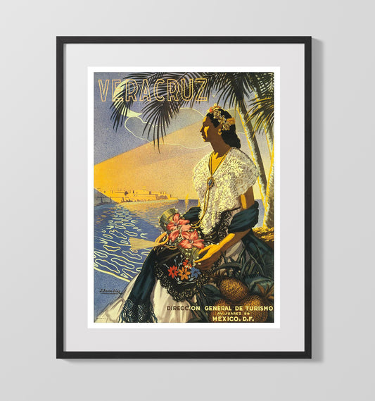 Veracruz Mexico - Travel - 16x20 Gallery Frame
