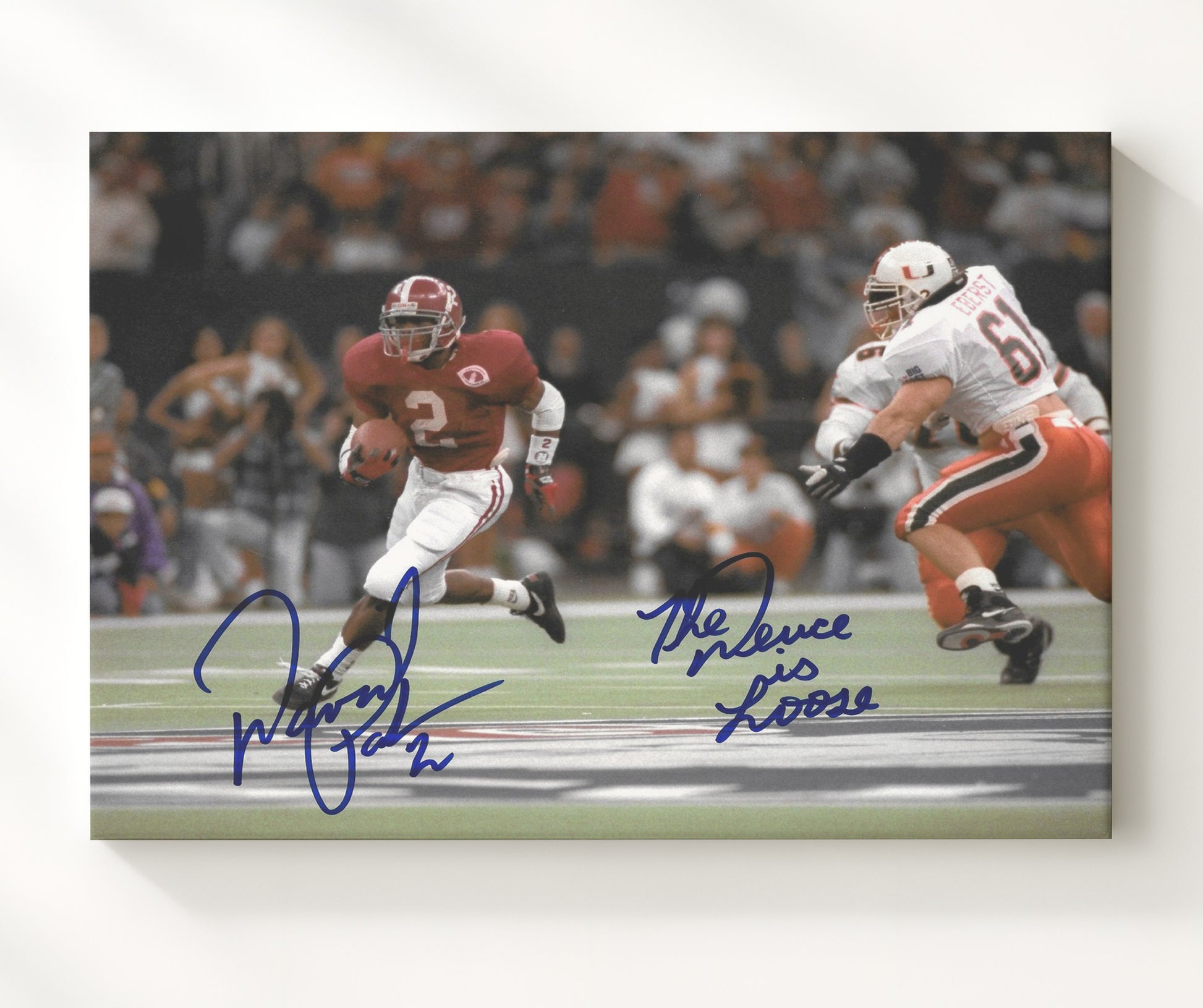 Alabama Football - David Palmer Breakaway Run Open Field Angle 8x10 Canvas college football wall art