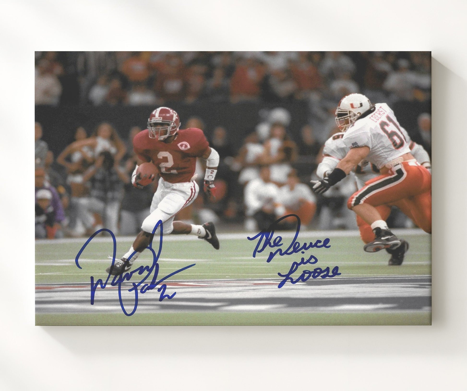 Alabama Football - David Palmer Breakaway Run Open Field Angle 8x10 Canvas college football wall art