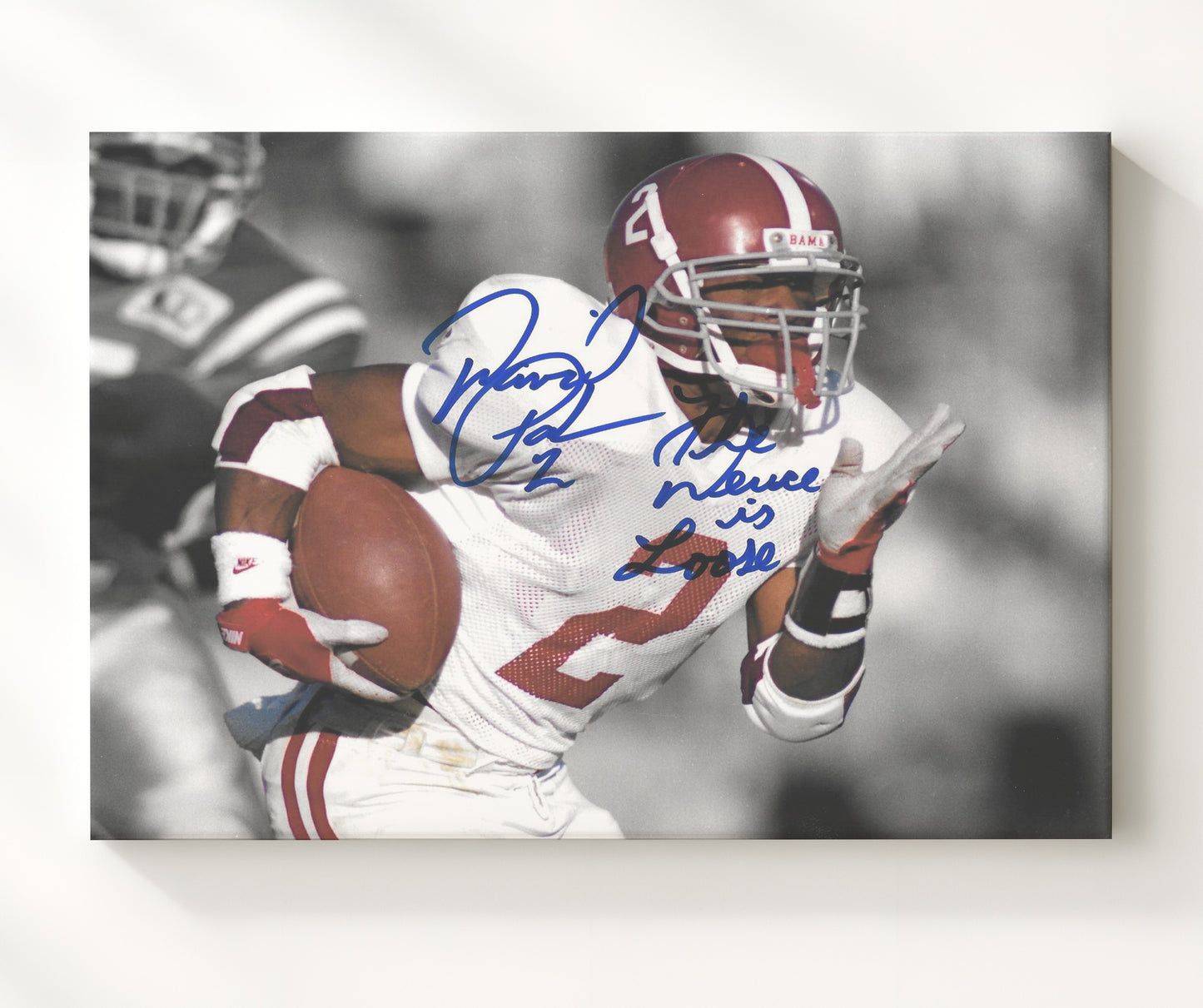Alabama Football David Palmer Open Field Sprint Deuce Is Loose College Football Wall Art 20x24 Canvas wall art print – College Football decor