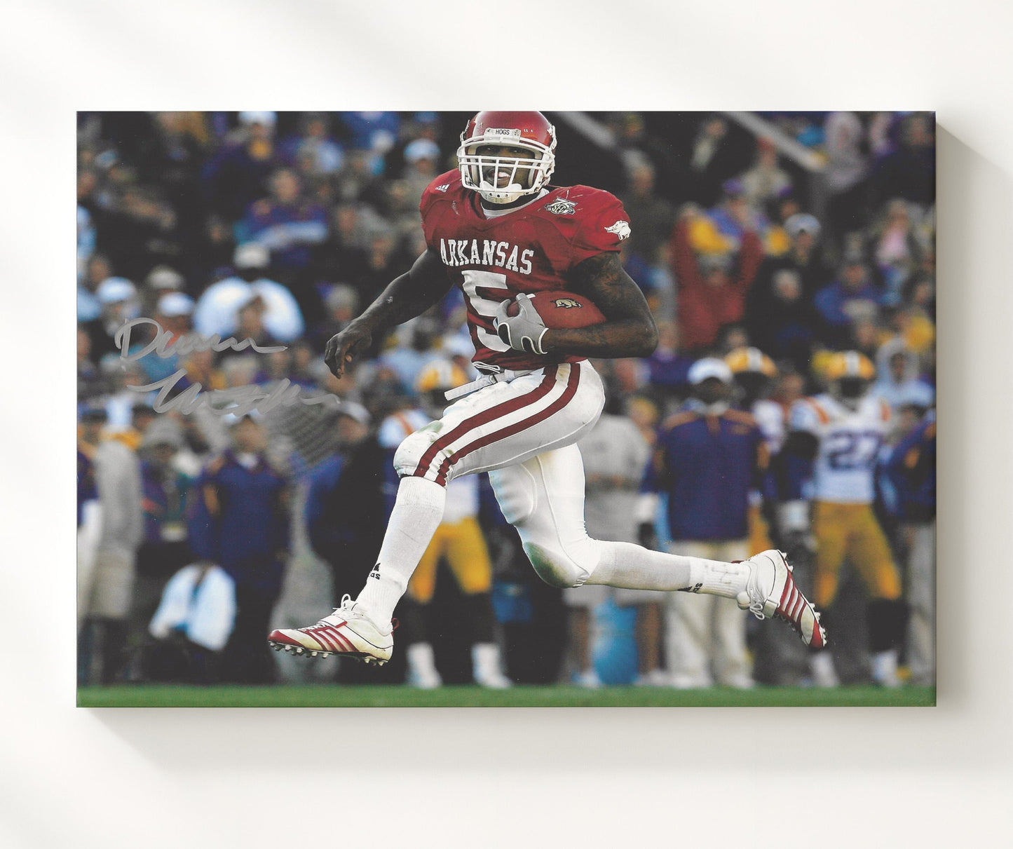 Arkansas Football - Darren McFadden Open Field Sprint Breakaway Run 8x10 Canvas college football wall art