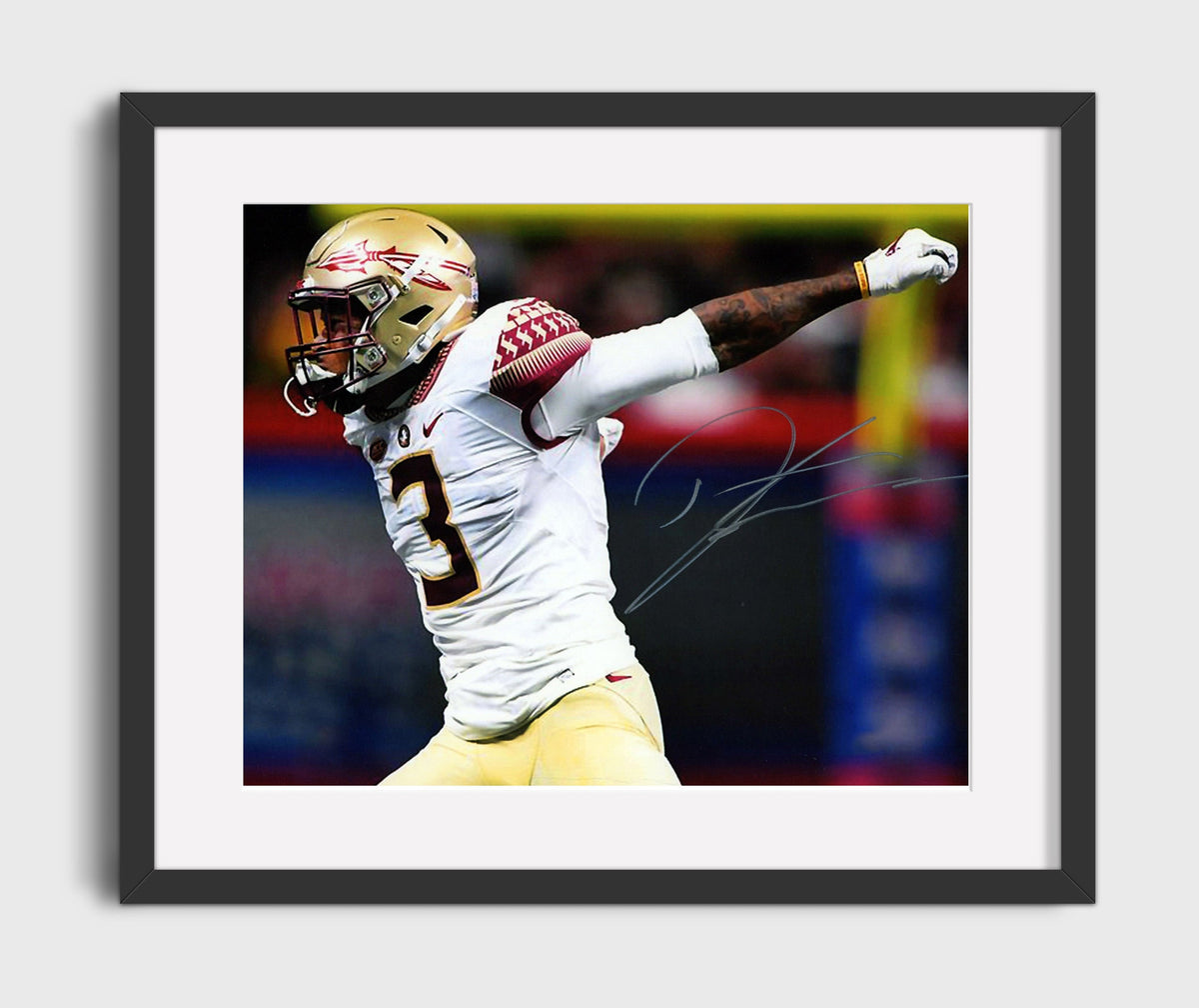 Florida State Football - Derwin James Defensive Celebration 8x10 Gallery Frame college football wall art