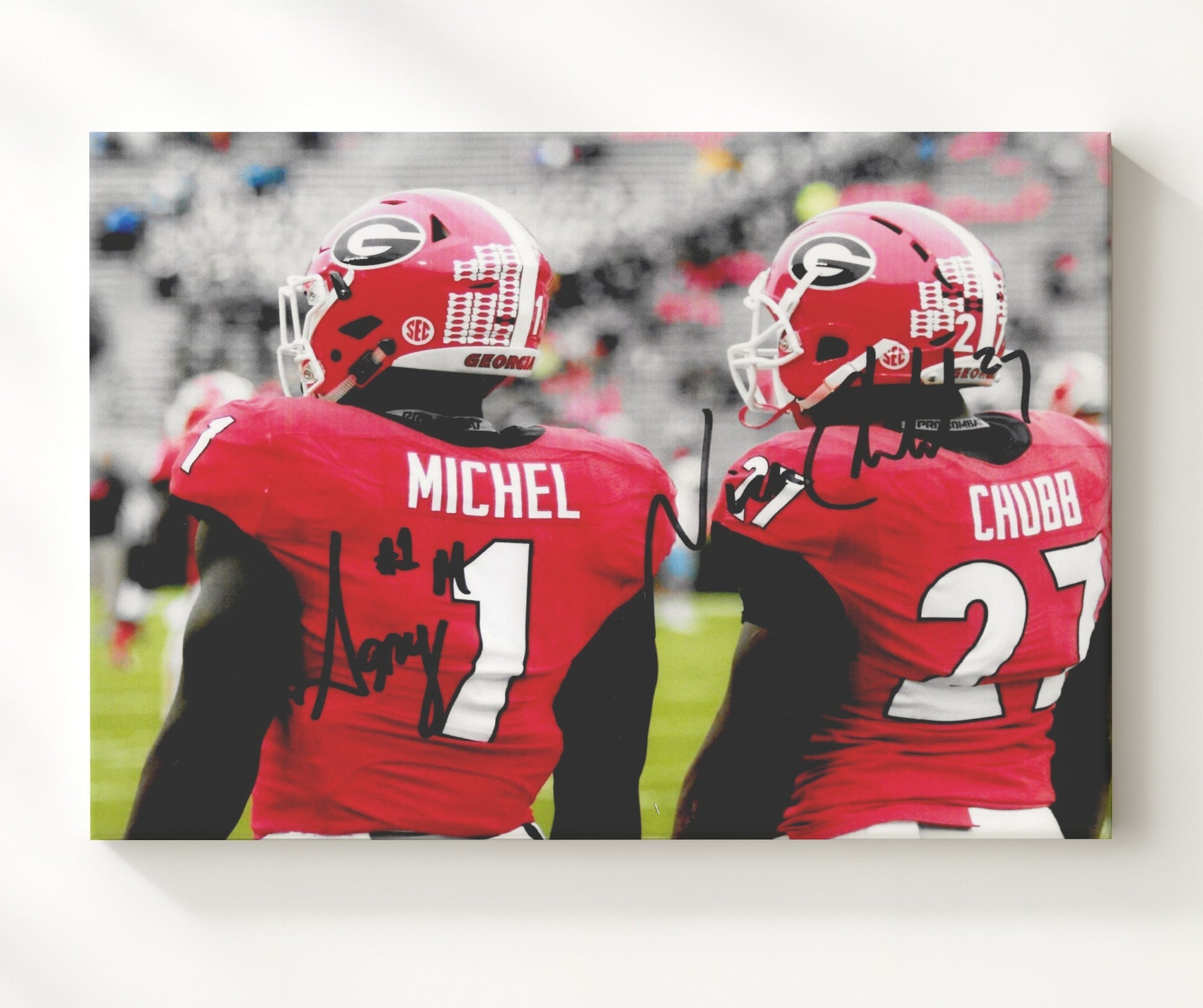 Georgia Football - Nick Chubb and Sony Michel Backfield Duo 8x10 Canvas college football wall art