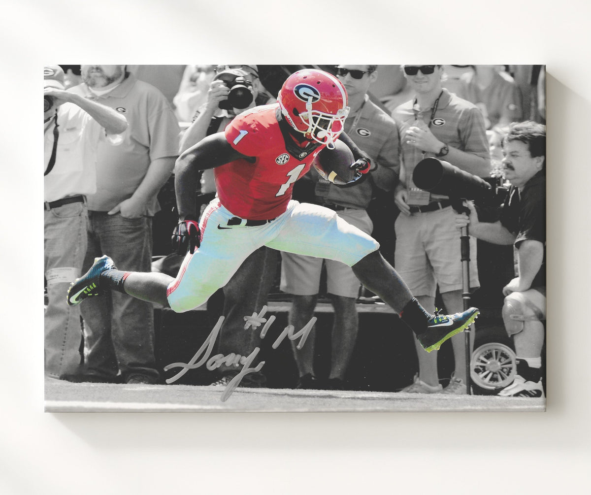 Georgia Football - Sony Michel Breakaway Sprint Highlight 8x10 Canvas college football wall art