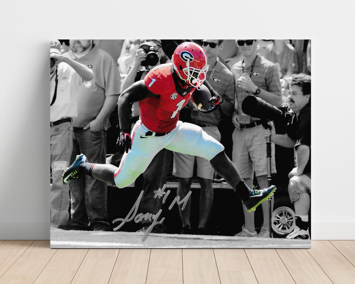 Georgia Football - Sony Michel Breakaway Sprint Highlight 8x10 Unframed Print college football wall art