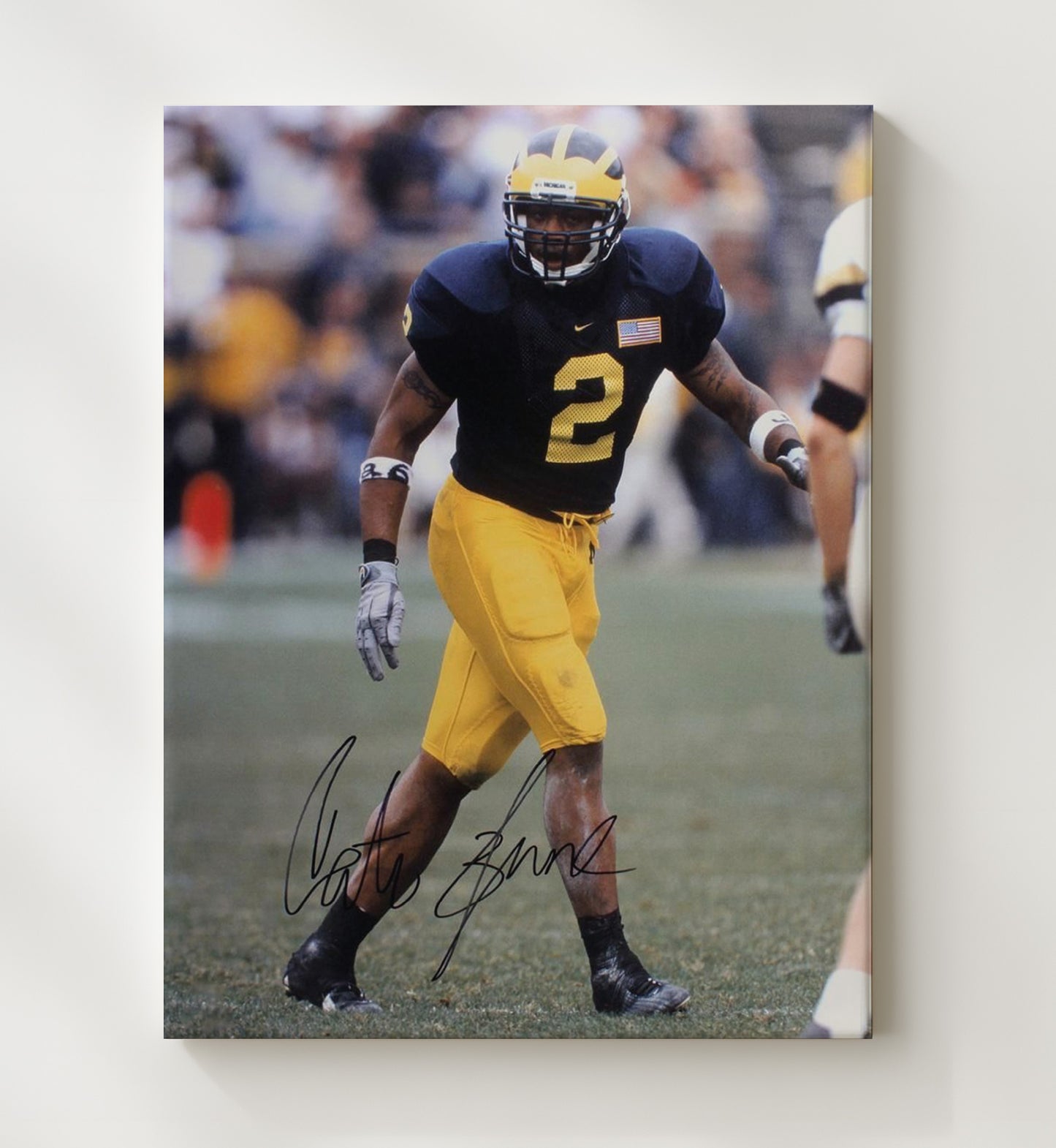 Michigan Football - Cato June Defensive Presence 8x10 Canvas college football wall art