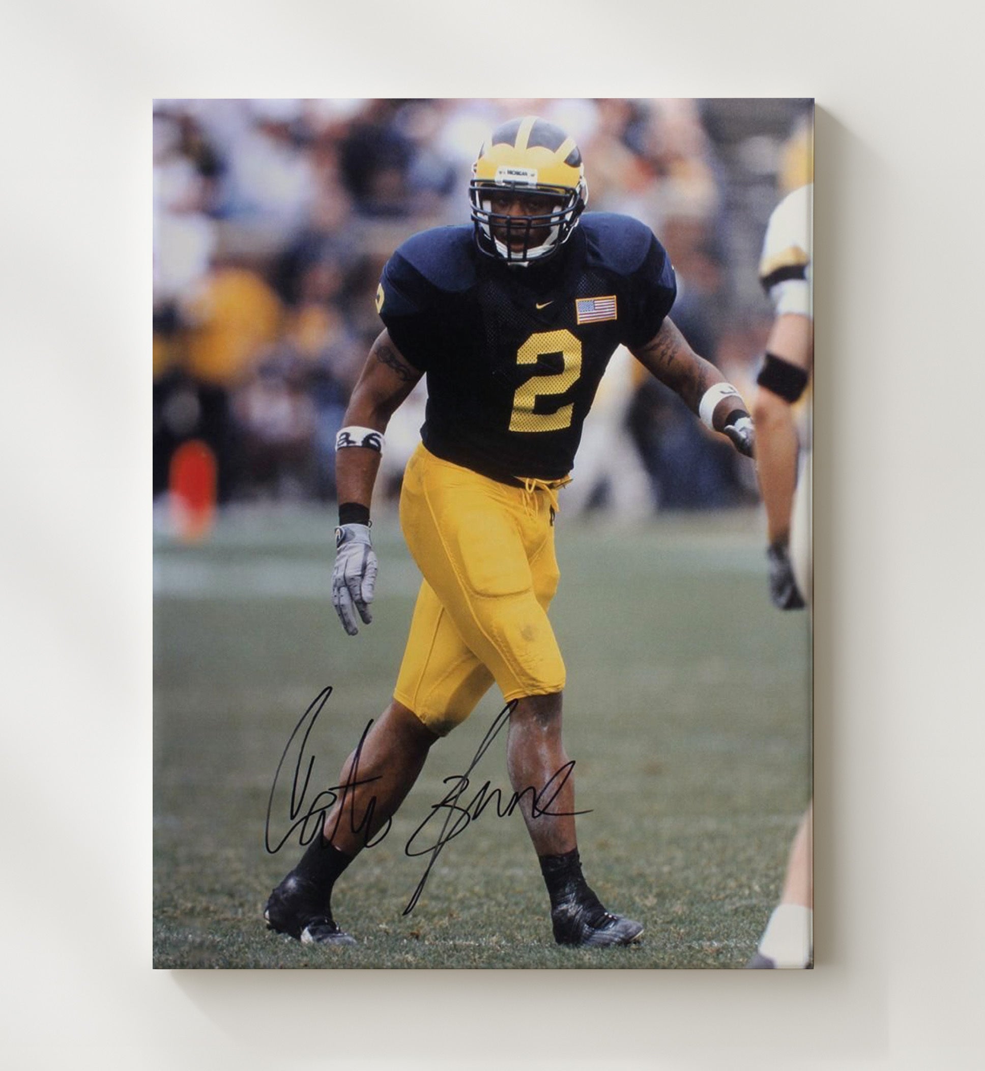 Michigan Football Cato June Defensive Presence College Football Wall Art 20x24 Canvas wall art print – College Football decor