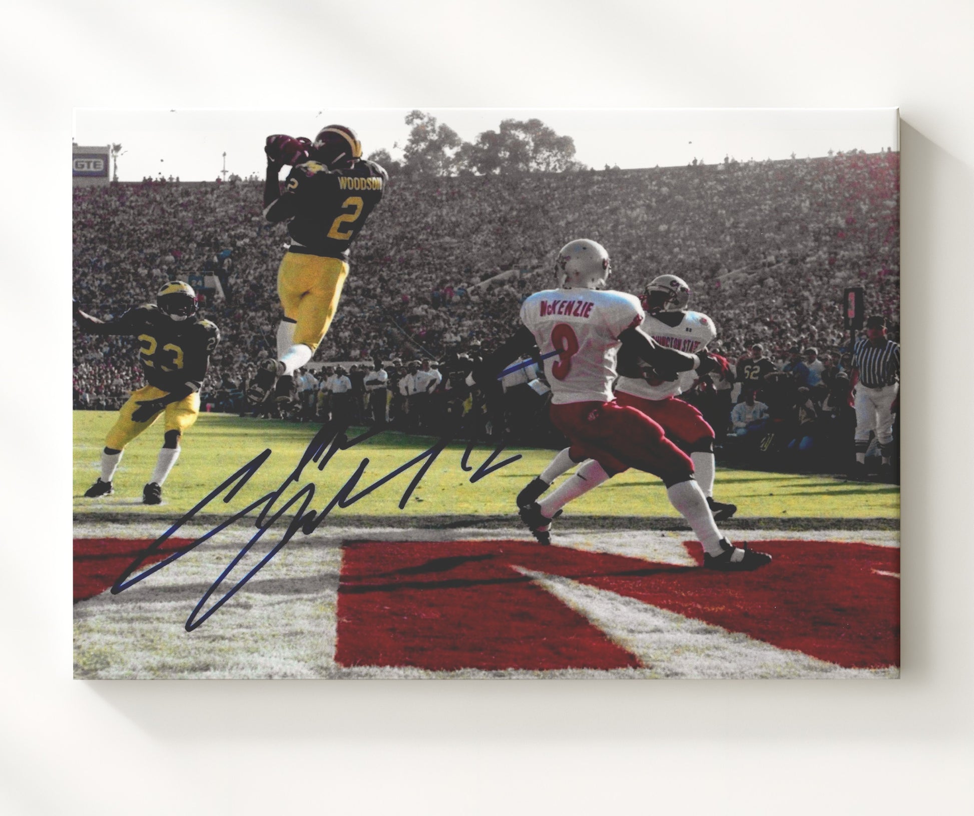 Michigan Football Charles Woodson Leaping Interception Heisman Moment College Football Wall Art 20x24 Canvas wall art print – College Football decor