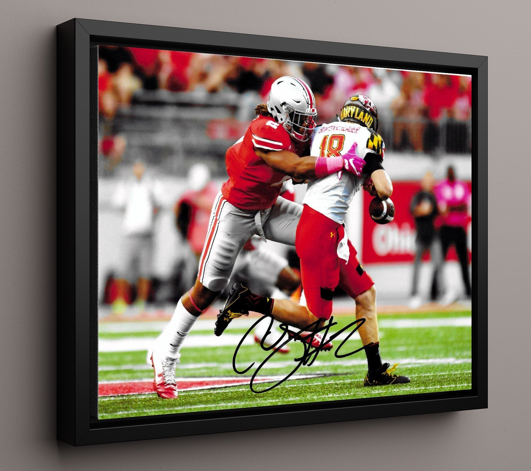 Ohio State Football - Chase Young Quarterback Sack Backfield Takedown 8x10 Framed Canvas college football wall art