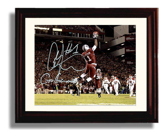 South Carolina Football Alshon Jeffery Aerial Touchdown Grab College Football Wall Art 8x10 Beveled Frame wall art print – College Football decor