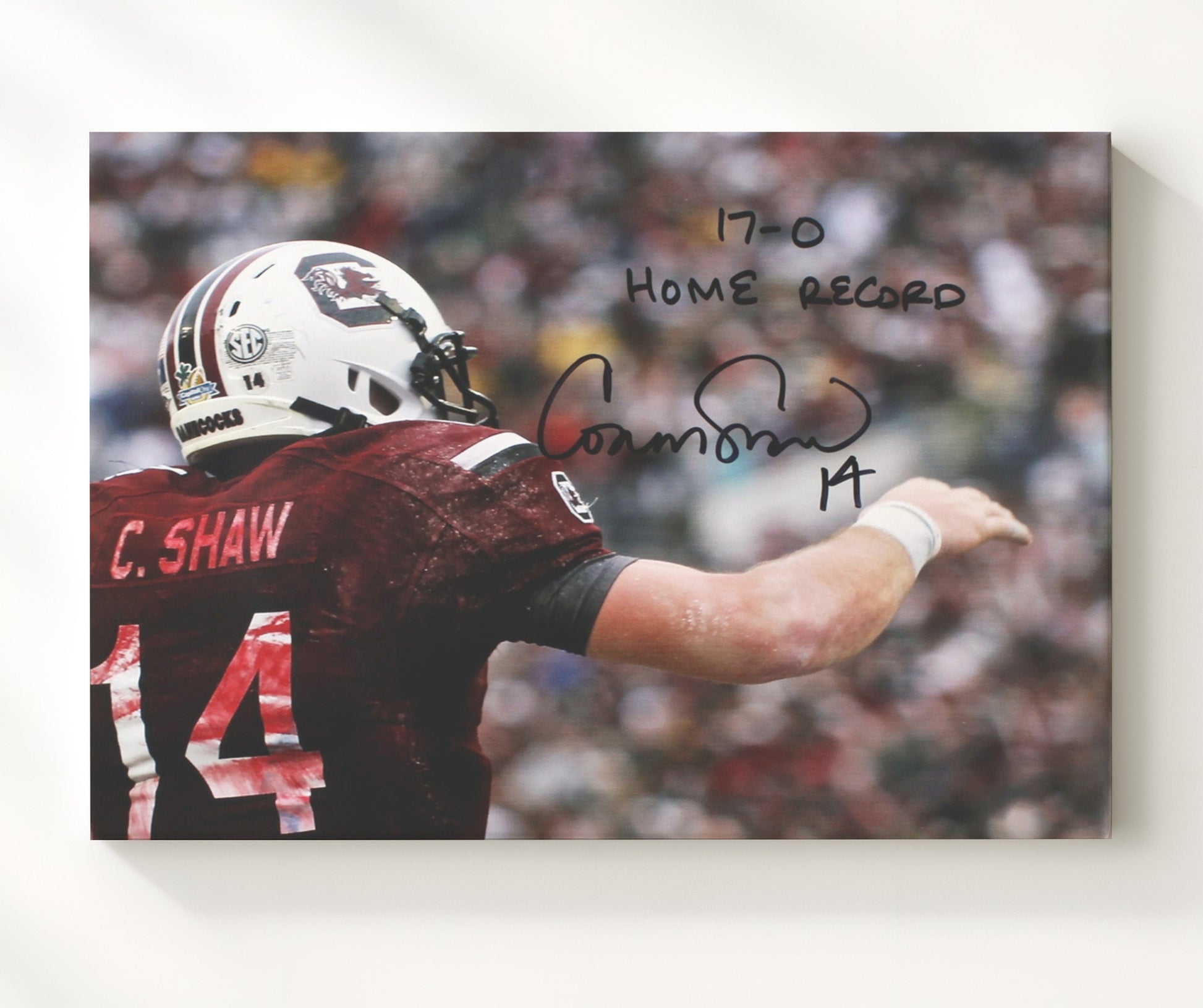 South Carolina Football - Connor Shaw Undefeated Home Command 8x10 Canvas college football wall art