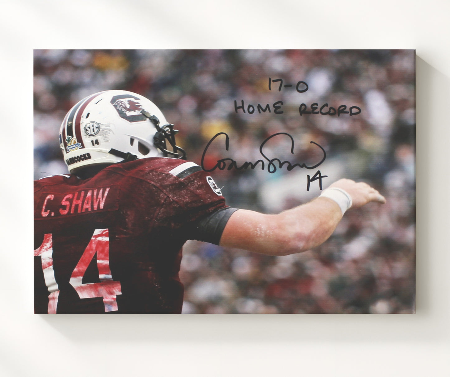 South Carolina Football Connor Shaw Undefeated Home Command College Football Wall Art 20x24 Canvas wall art print – College Football decor