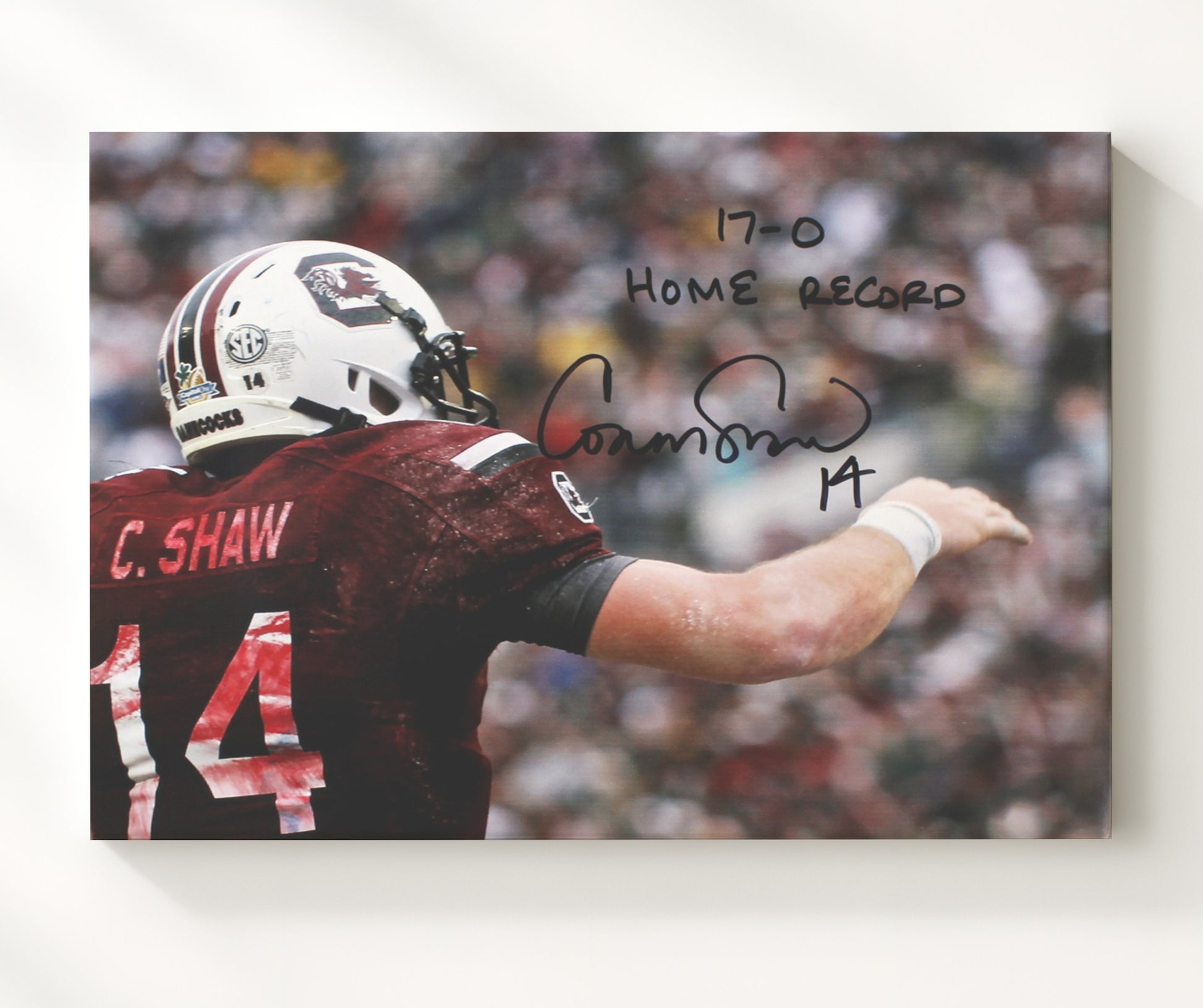 South Carolina Football Connor Shaw Undefeated Home Command College Football Wall Art 20x24 Canvas wall art print – College Football decor