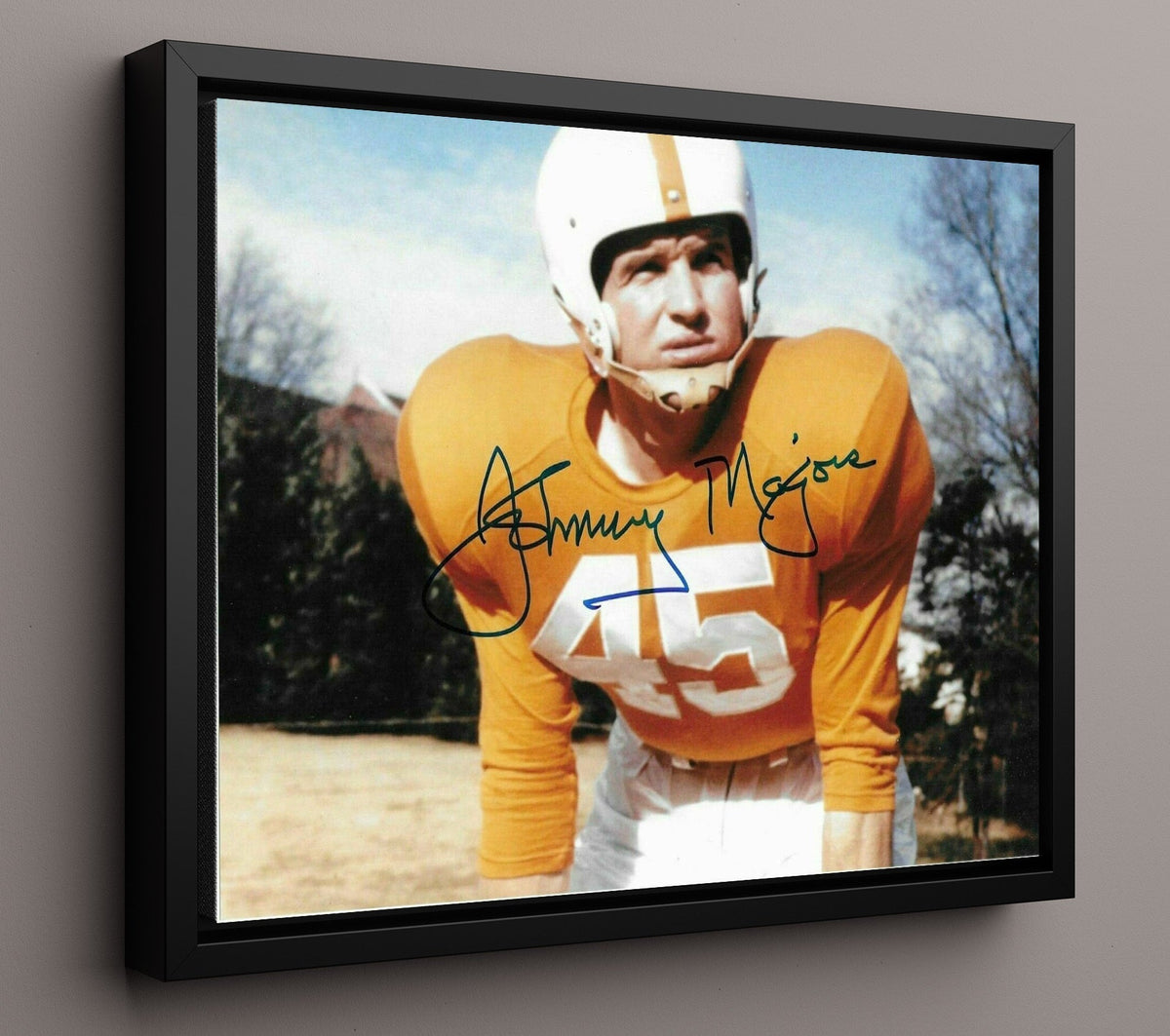 Tennessee Football - Johnny Majors Legendary QB Heritage 8x10 Framed Canvas college football wall art
