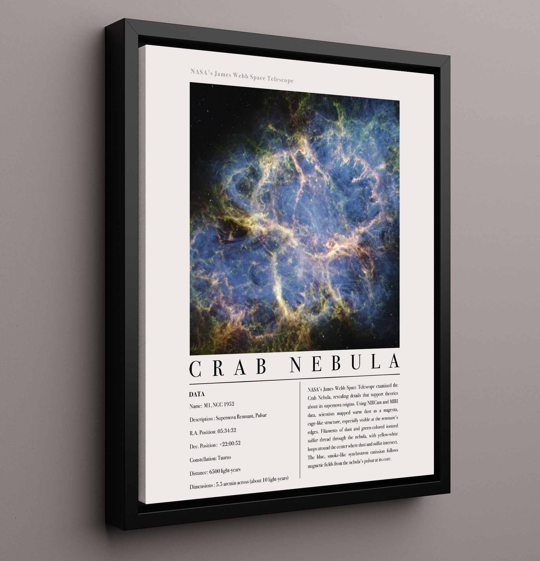 Constellation Print - Dorado - James Webb Telescope NGC 1566 Spiral Galaxy 16x20 Framed Canvas constellation wall art print – Constellation Print decor