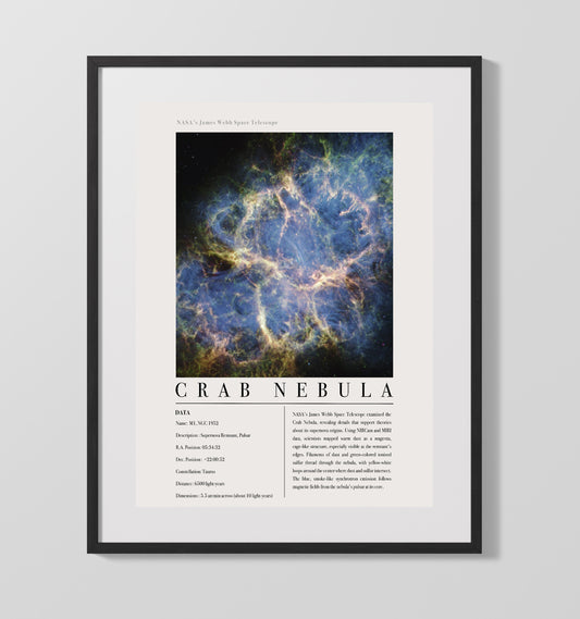 Constellation Print - Dorado - James Webb Telescope NGC 1566 Spiral Galaxy 16x20 16x20 Gallery Framed Artworkd Artwork wall art print – vintage decor