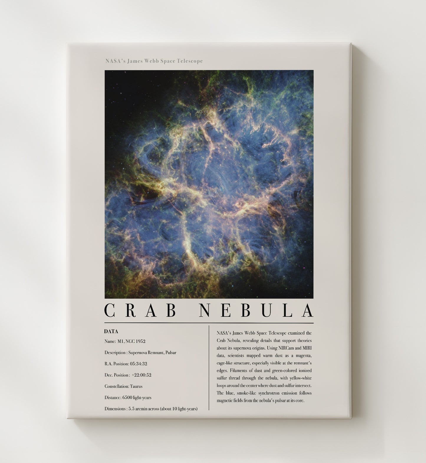 Constellation Print - Dorado - James Webb Telescope NGC 1566 Spiral Galaxy 20x24 Canvas constellation wall art print – Constellation Print decor