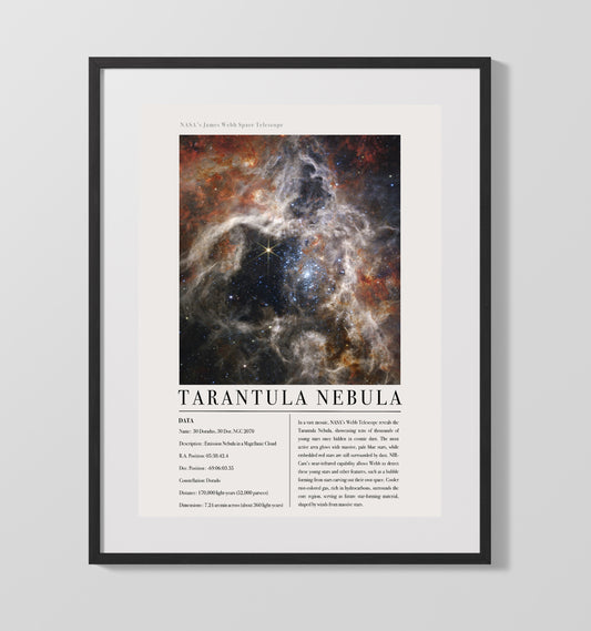 Constellation Print - Serpens - James Webb Telescope Pillars of Creation Eagle Nebula 16x20 16x20 Gallery Framed Artworkd Artwork wall art print – vintage decor