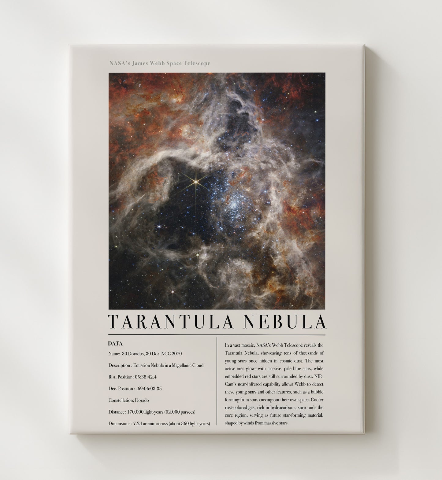 Constellation Print - Serpens - James Webb Telescope Pillars of Creation Eagle N 20x24 Canvas constellation wall art print – Constellation Print decor