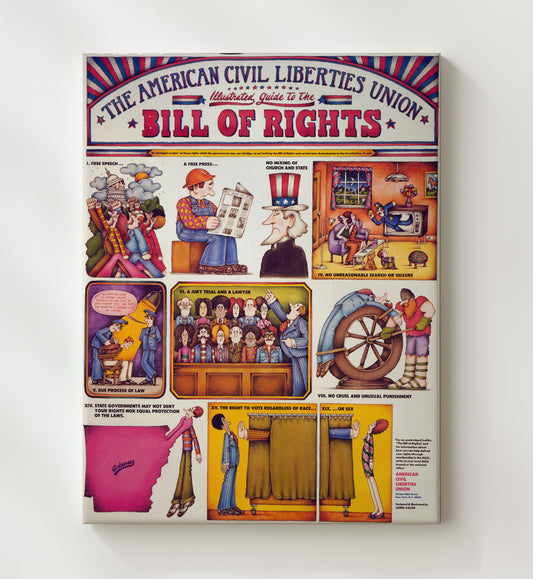 Bill of Rights Illustrated Guide 8x10 Canvas counterculture wall art
