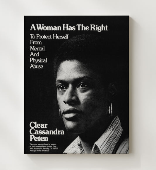 Clear Cassandra Peten - Women's Rights 8x10 Canvas counterculture wall art