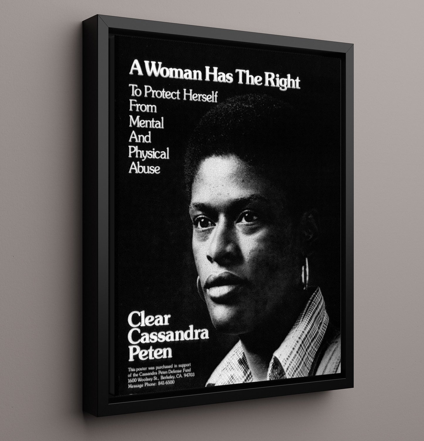 Clear Cassandra Peten - Womens Rights Counter Culture Wall Art 16x20 Framed Canvas wall art print