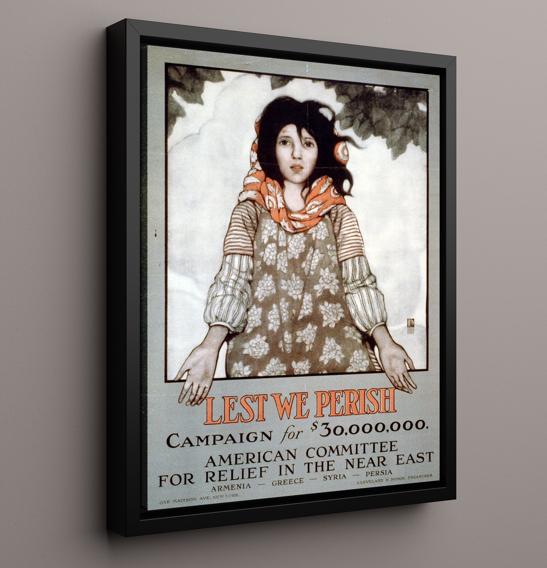Lest We Perish Counter Culture Wall Art 16x20 Framed Canvas wall art print