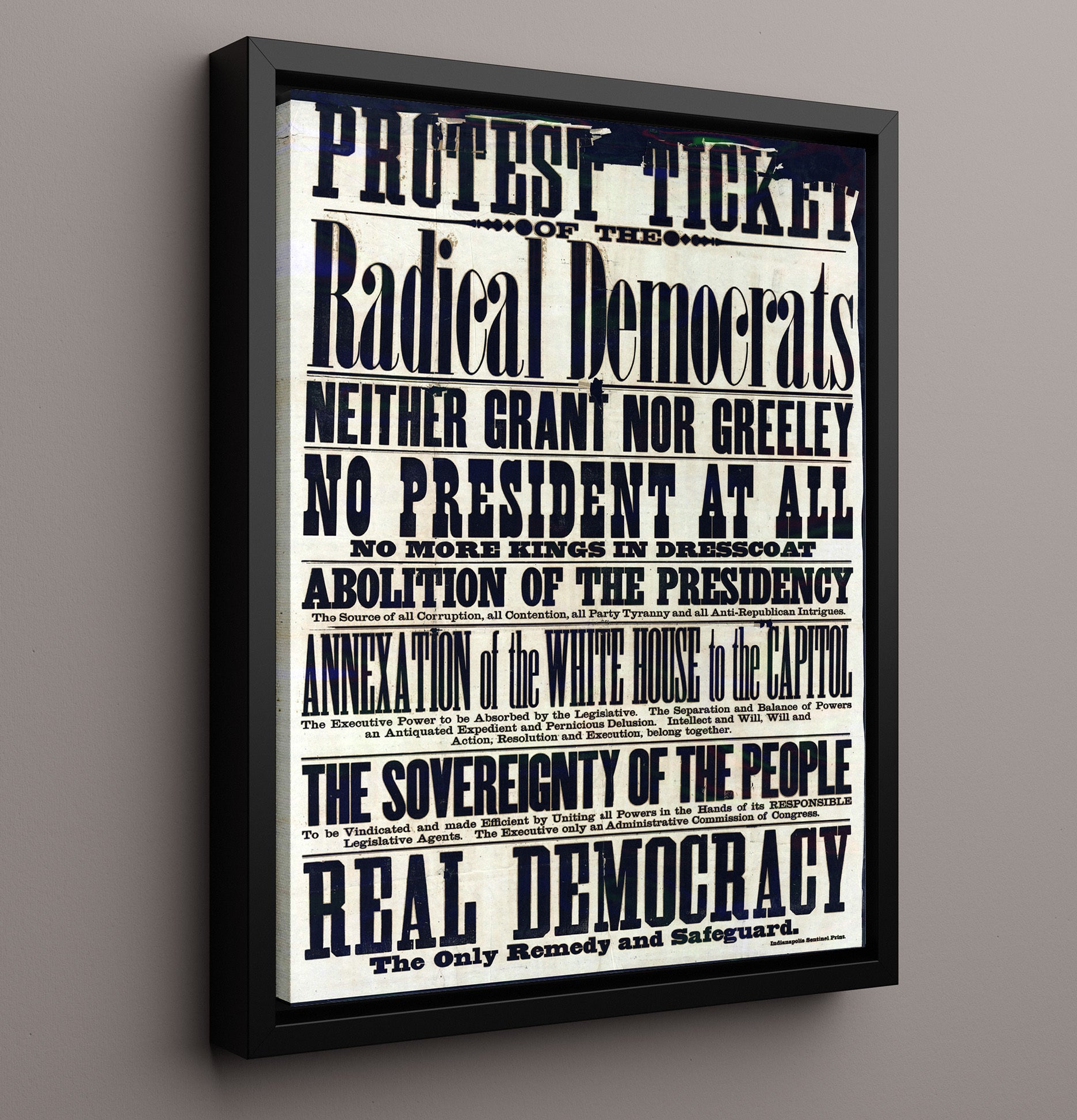 Protest Ticket - Radical Democrats Counter Culture Wall Art 16x20 Framed Canvas wall art print