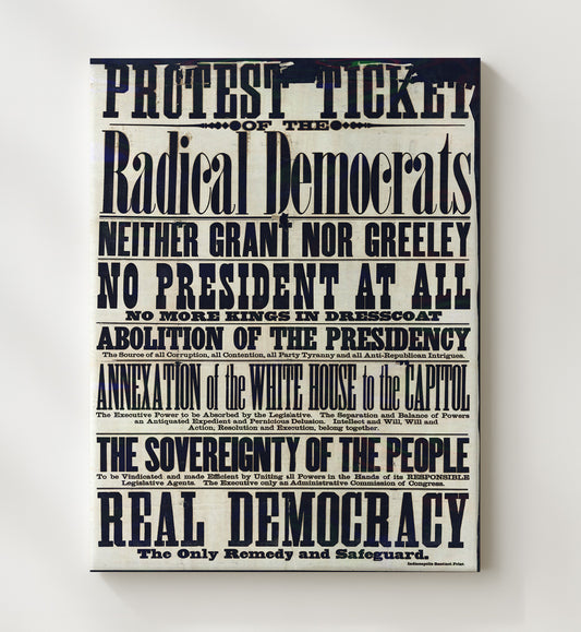 Protest Ticket - Radical Democrats 8x10 Canvas counterculture wall art
