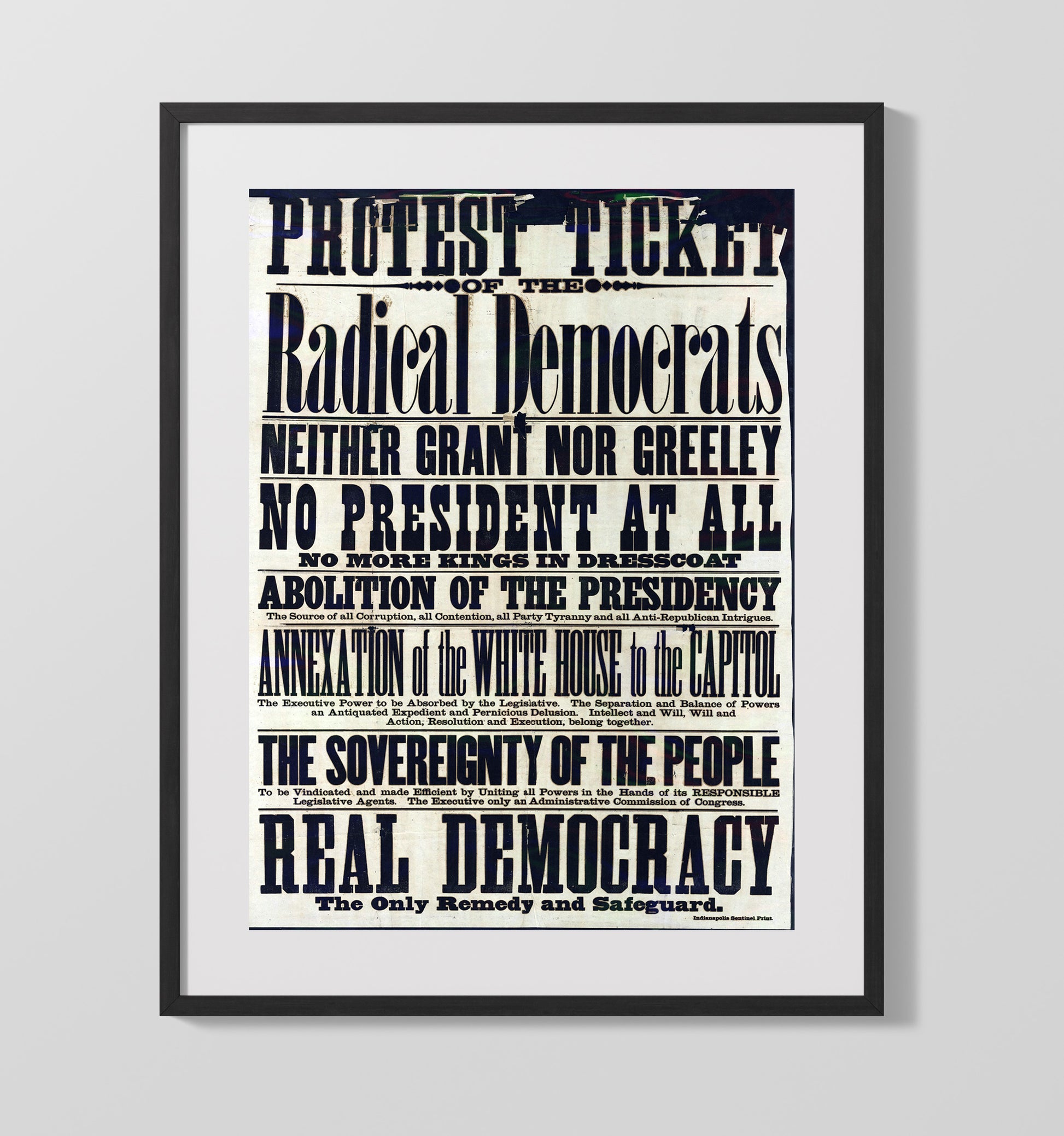 Protest Ticket - Radical Democrats Counter Culture Wall Art 16x20 Gallery Frame wall art print