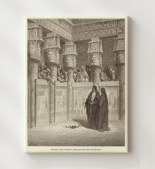 The Finding of Moses - Exodus 2:1-10 - Doré - 20x24 Canvas