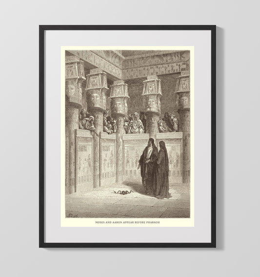 The Finding of Moses - Exodus 2:1-10 - Doré - 16x20 Gallery Frame