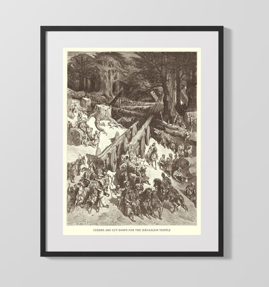 The Judgment of Solomon - 1 Kings 3:16-28 - Doré - 16x20 Gallery Frame
