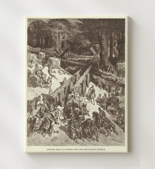 The Judgment of Solomon - 1 Kings 3:16-28 - Doré - 20x24 Canvas