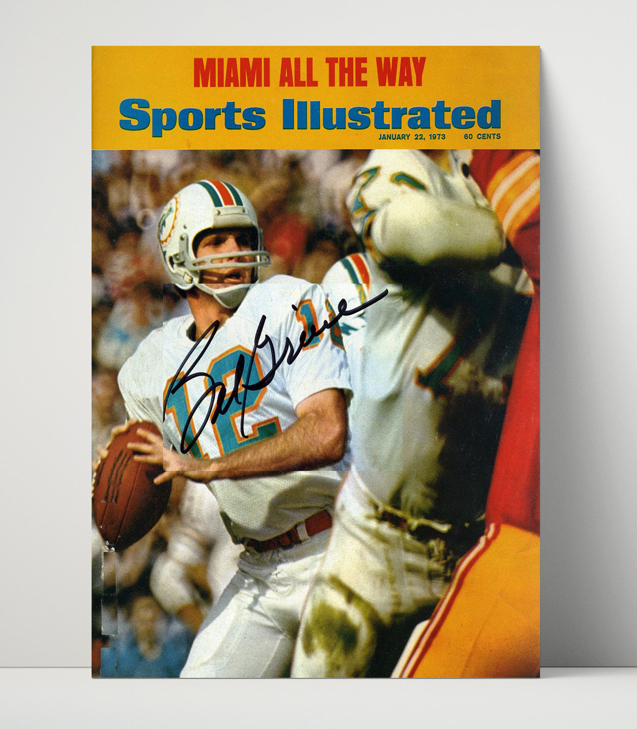 Bob Griese - Dolphin Dynasty Football Wall Art - football wall art print