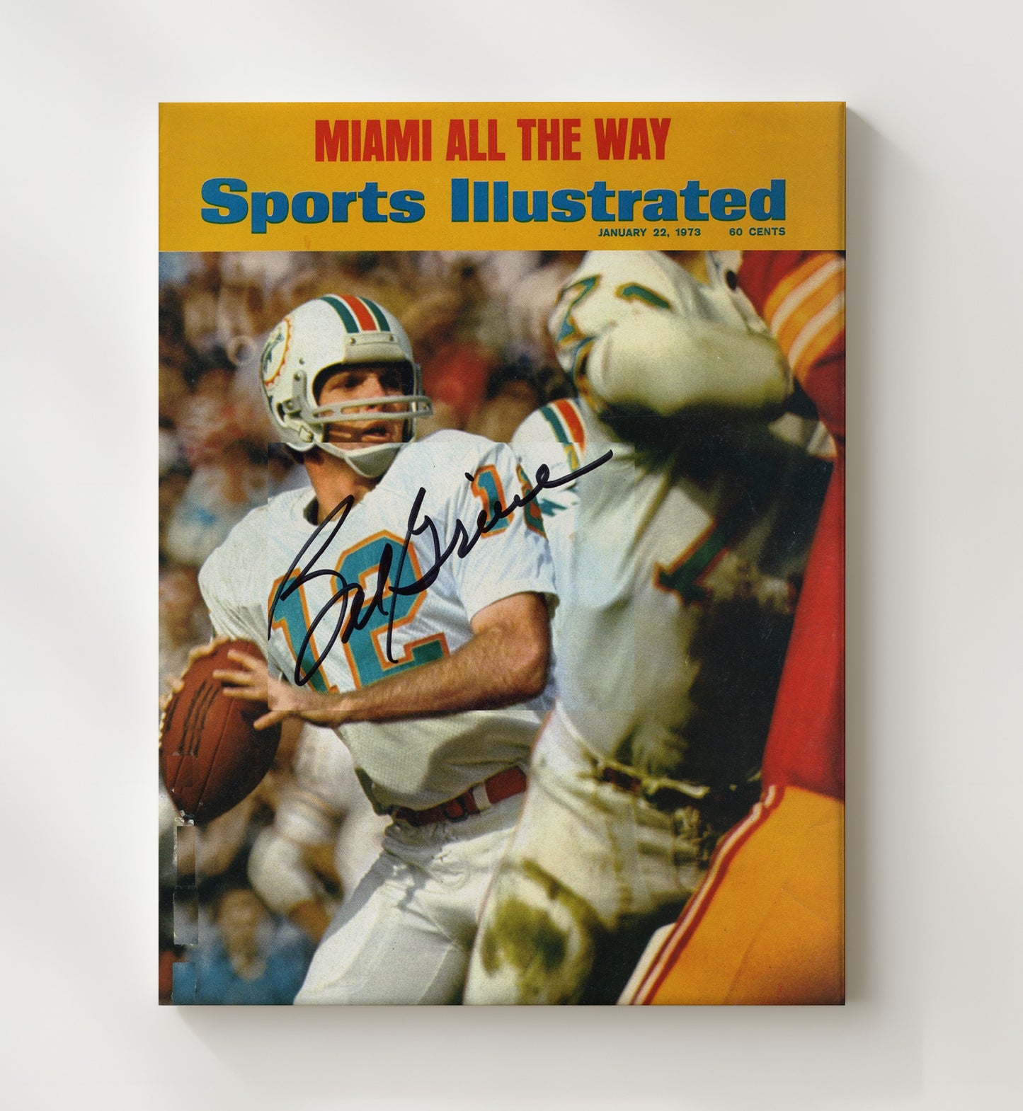 Bob Griese - Dolphin Dynasty Football Wall Art - football wall art print