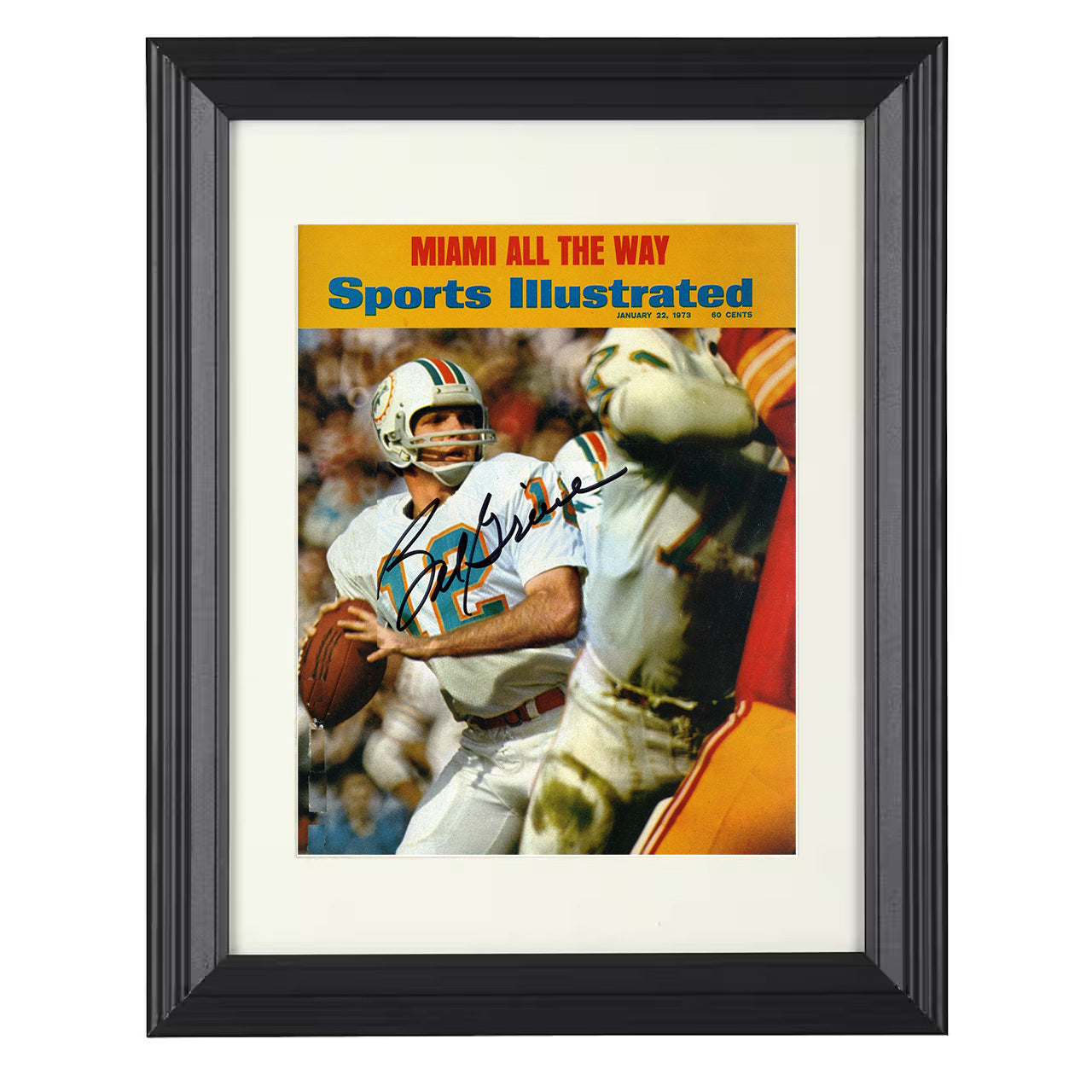 Bob Griese – Dolphin Dynasty Image – 8x10 black beveled framed football wall art