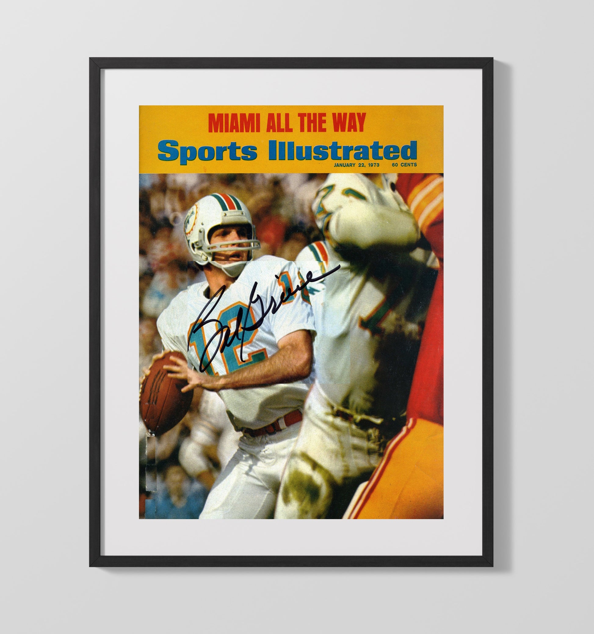 Bob Griese - Dolphin Dynasty Vintage Football Wall Art - 16x20 Gallery Frame football decor