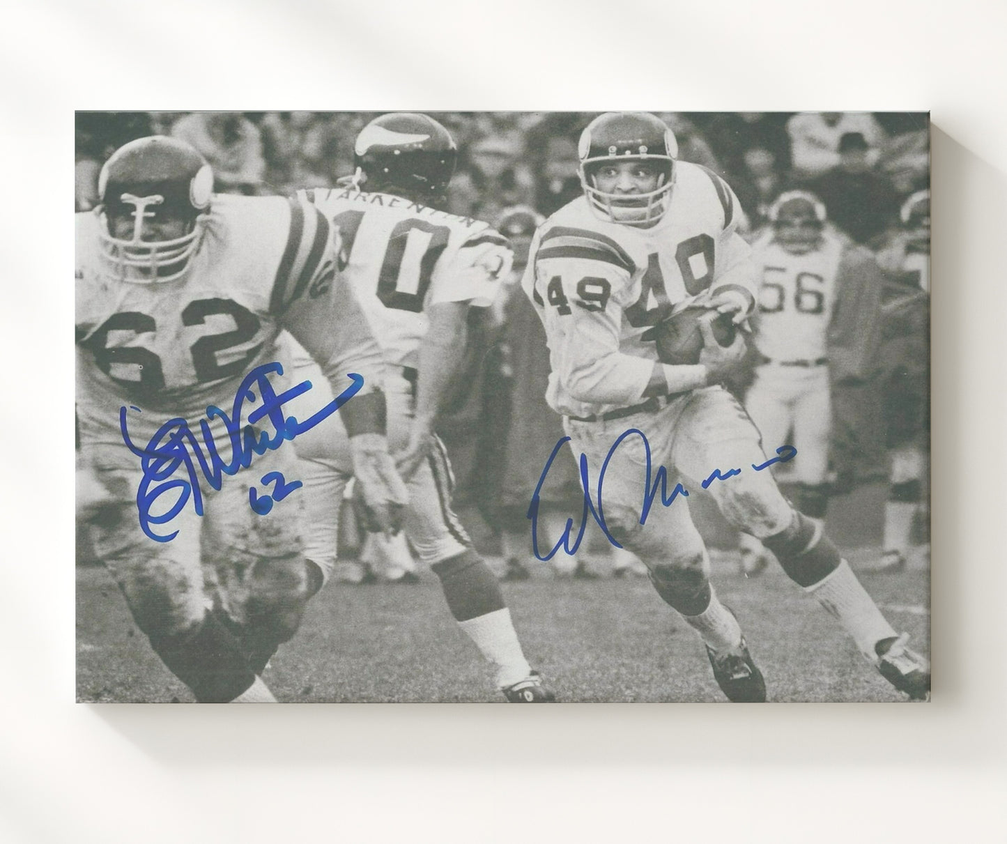 Ed Marinaro and Ed White - Minnesota Football Run Behind Blocker Football Wall Art - football wall art print