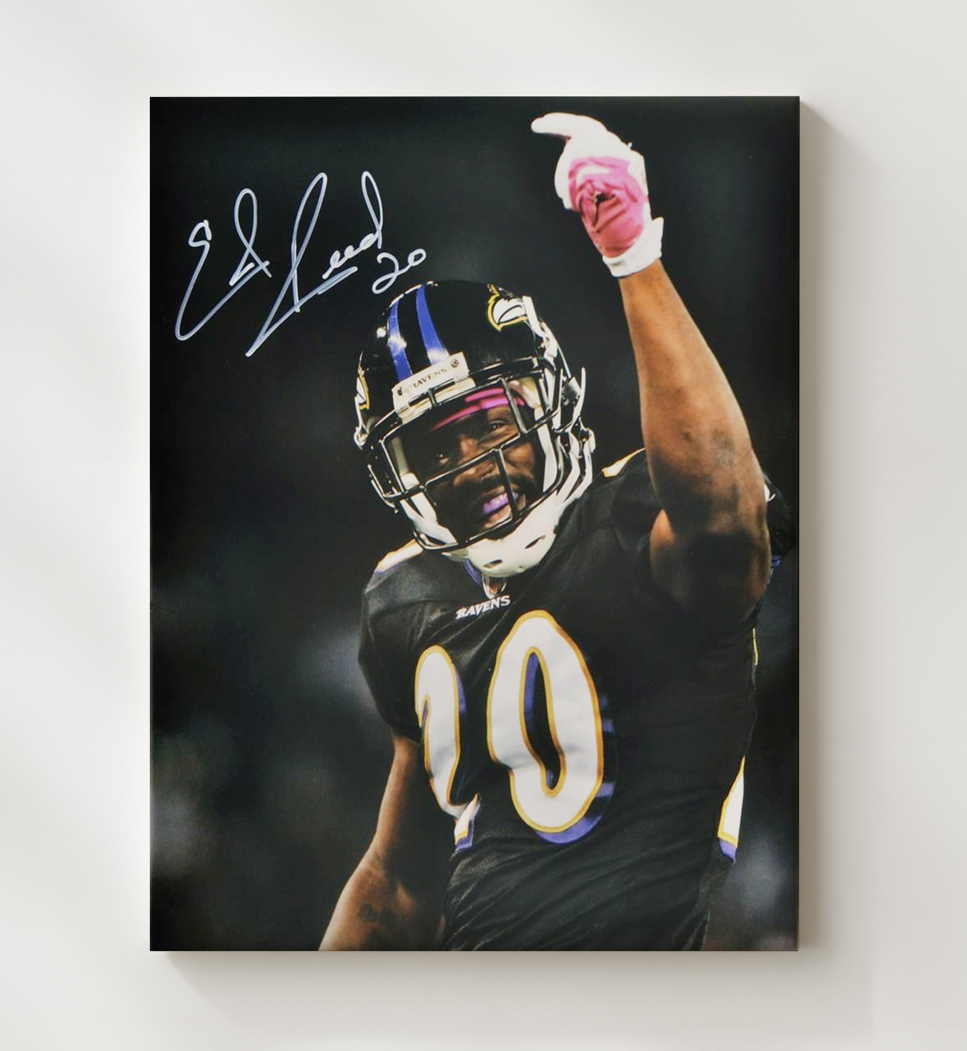 Ed Reed - Ballhawk Supreme Vintage Football Wall Art - 20x24 Canvas football decor