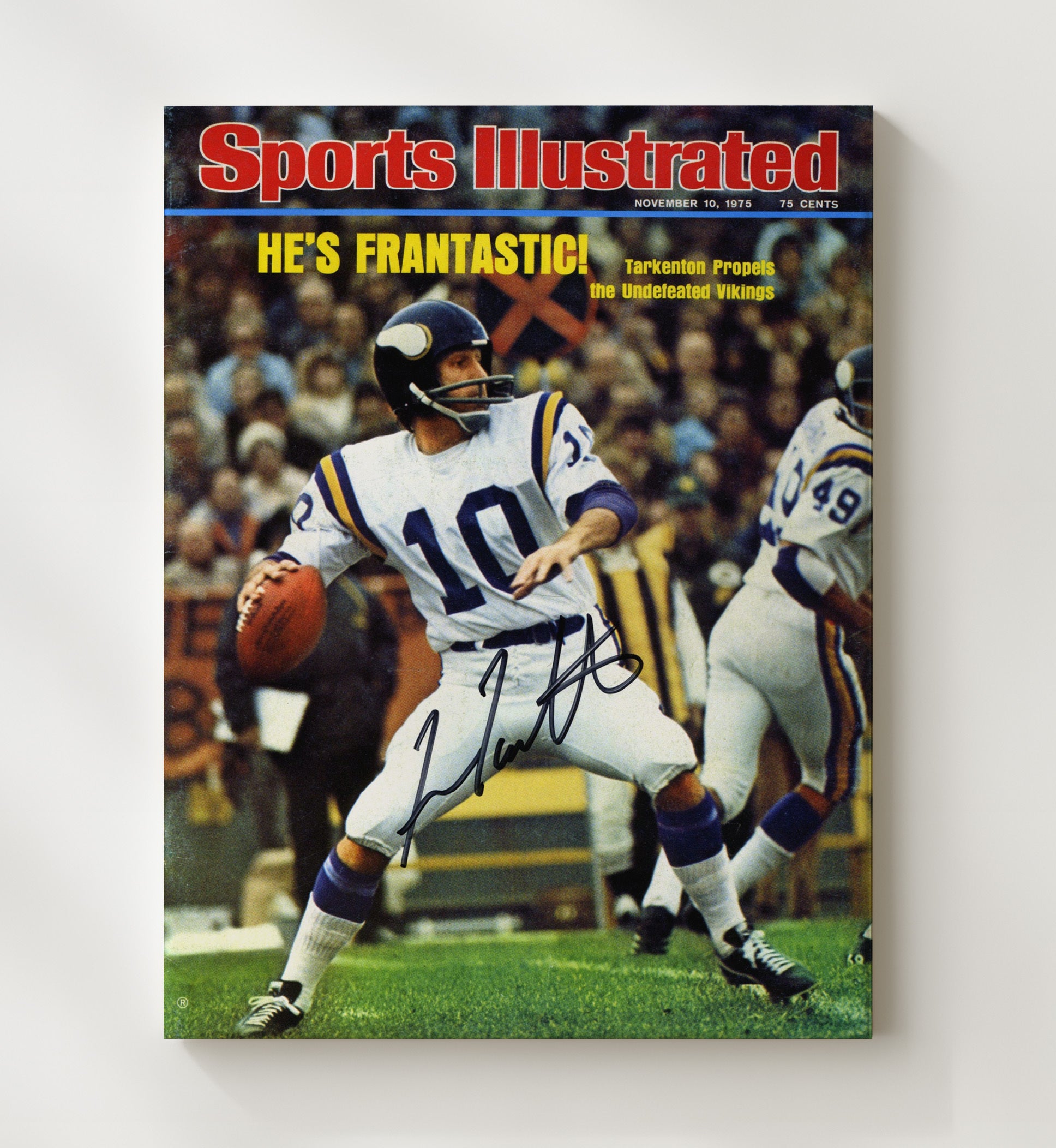 Fran Tarkenton Frantastic - Viking Magic Vintage Football Wall Art - 20x24 Canvas football decor