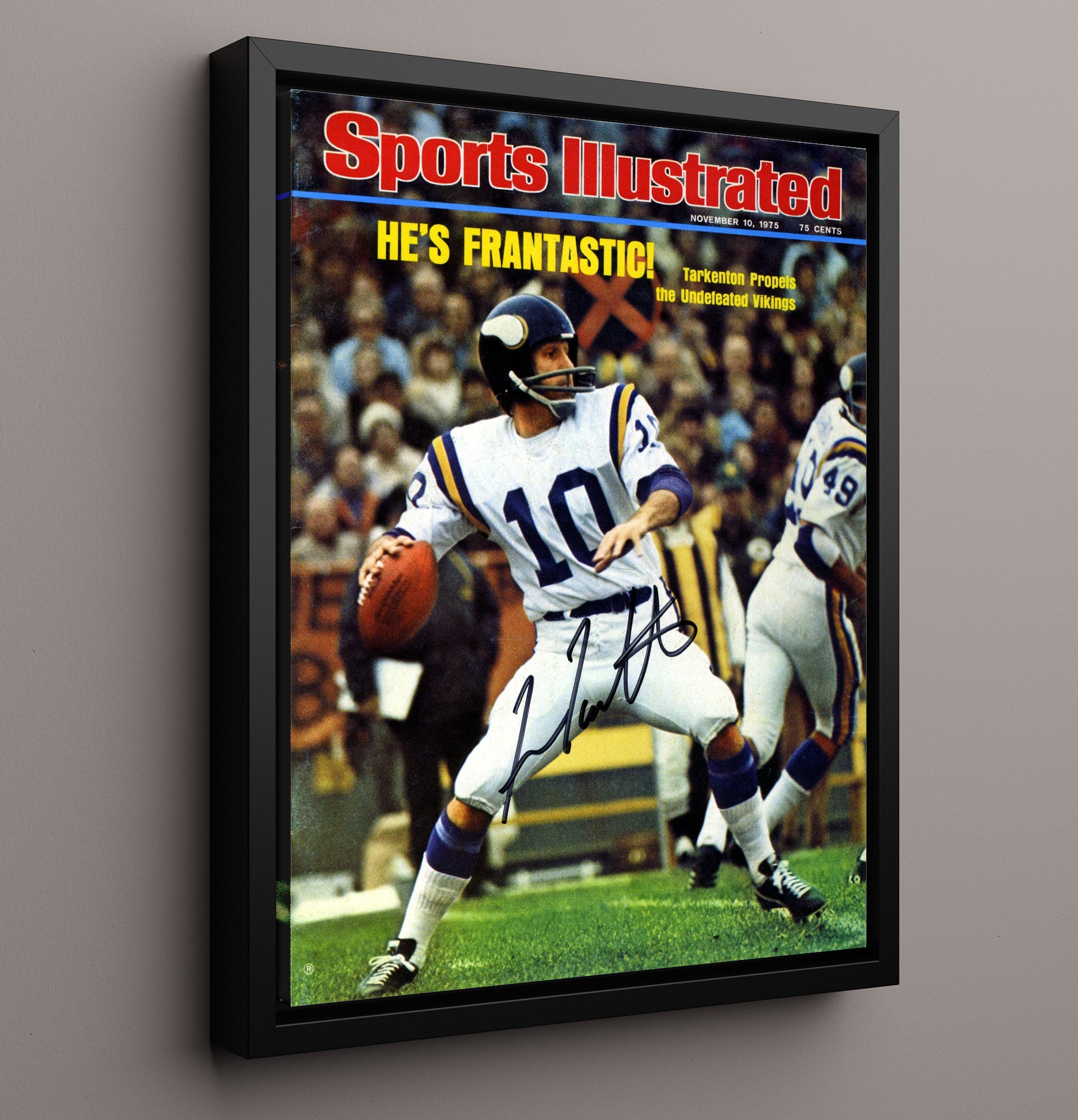 Fran Tarkenton Frantastic - Viking Magic Vintage Football Wall Art - 16x20 Framed Canvas football decor