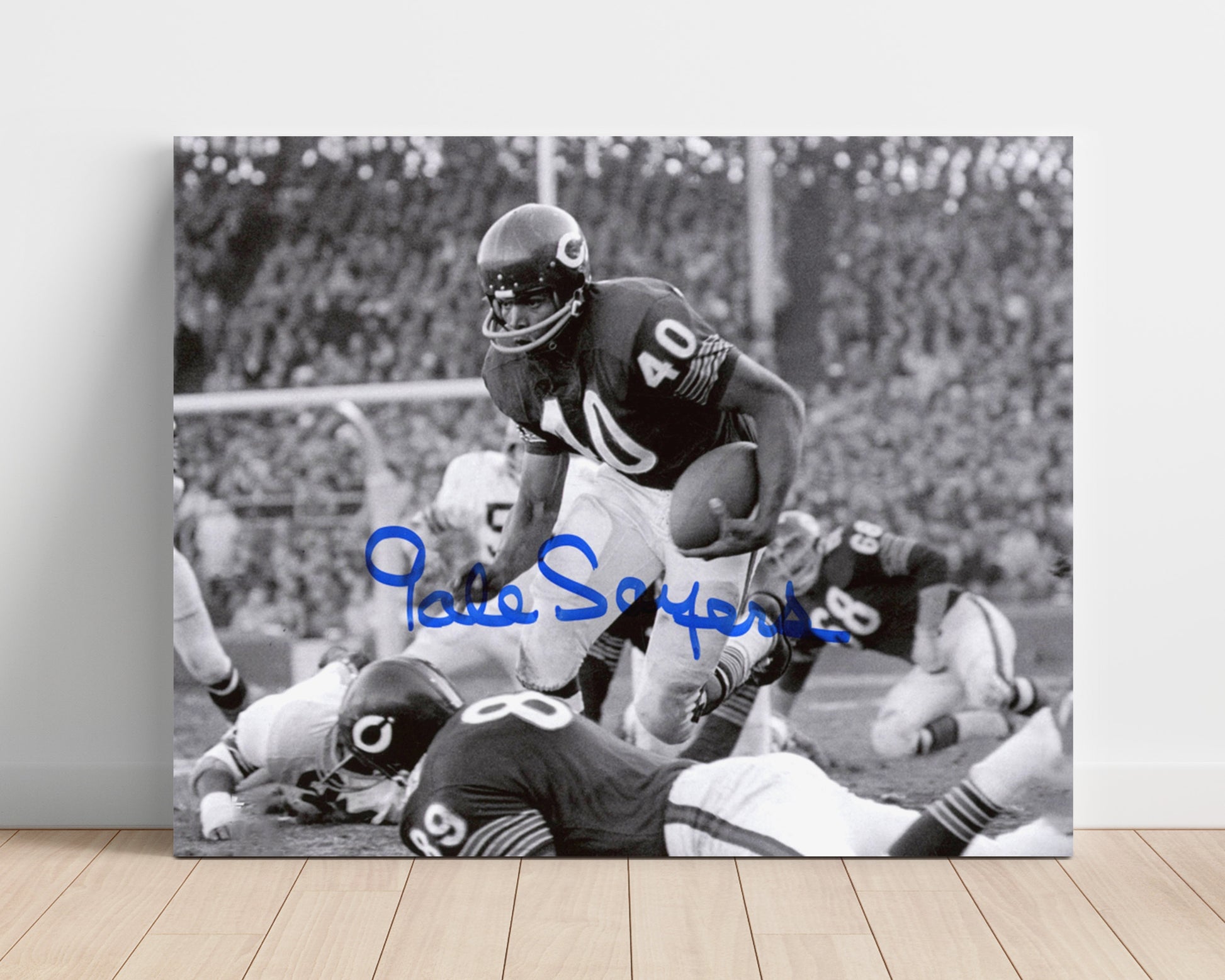 Gale Sayers - Kansas Comet in Motion Football Wall Art - football wall art print