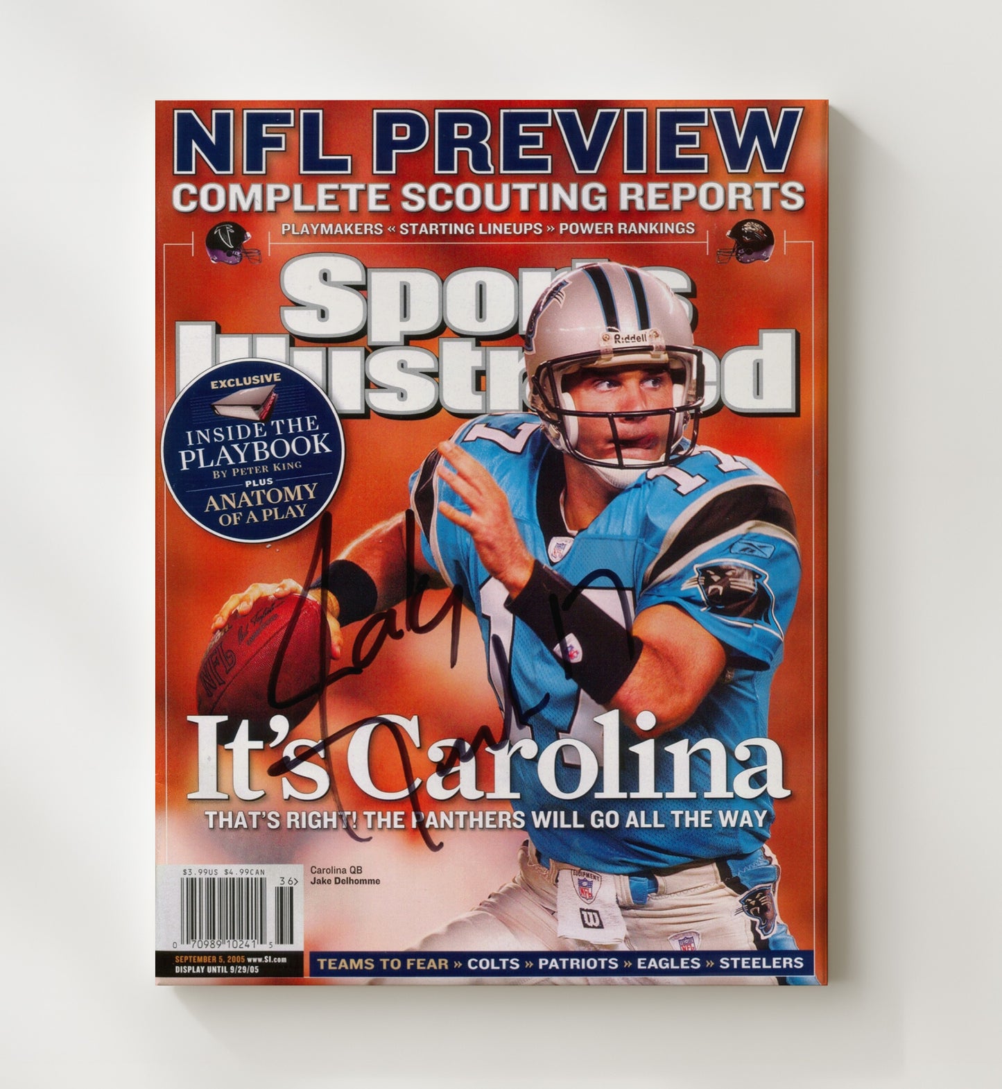 Jake Delhomme - Its Carolina Vintage Football Wall Art - 20x24 Canvas football decor
