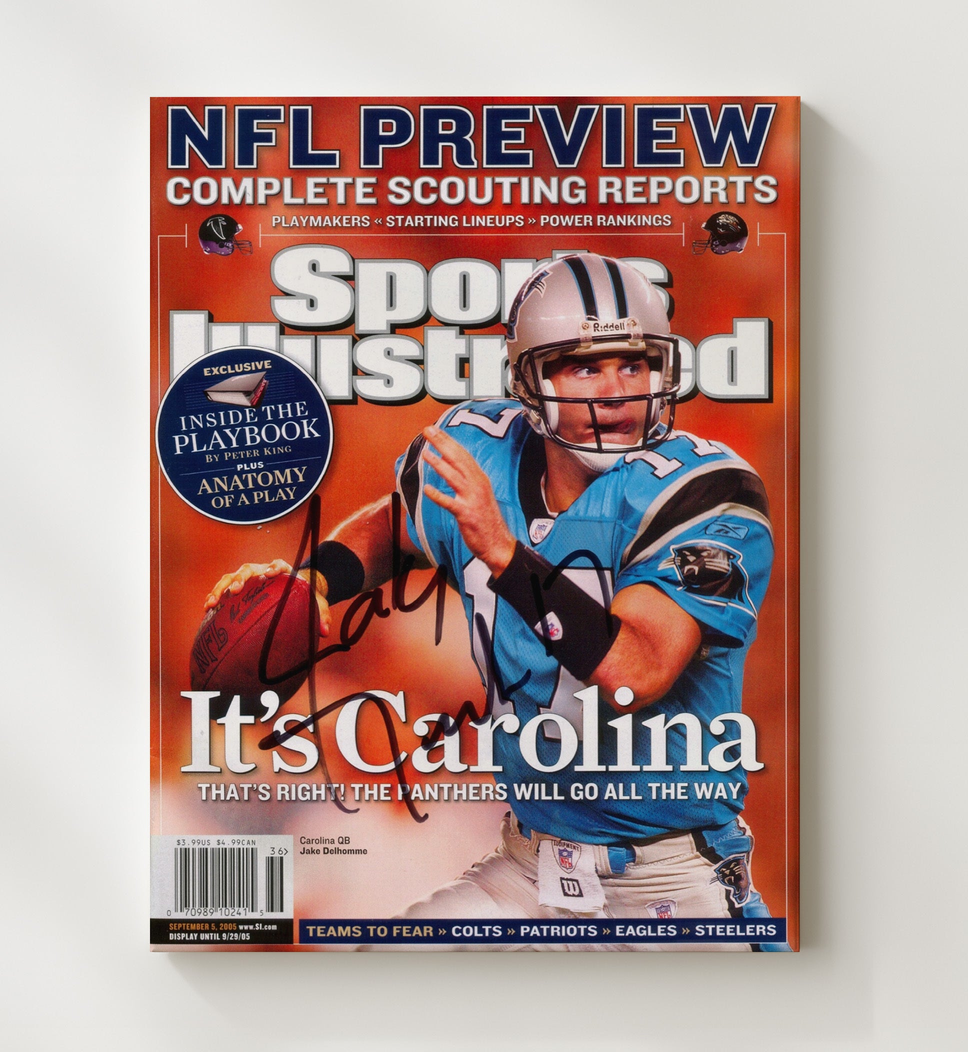 Jake Delhomme - Its Carolina Vintage Football Wall Art - 20x24 Canvas football decor