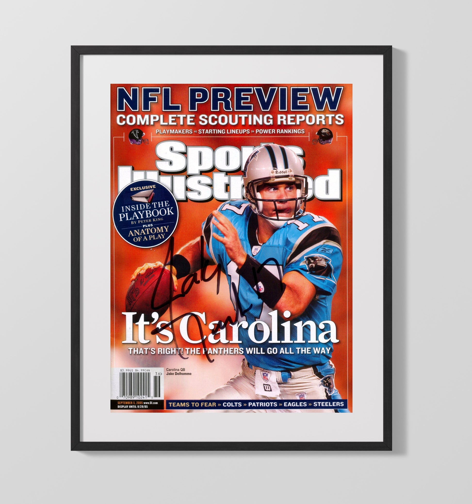 Jake Delhomme - Its Carolina Football Wall Art - football wall art print