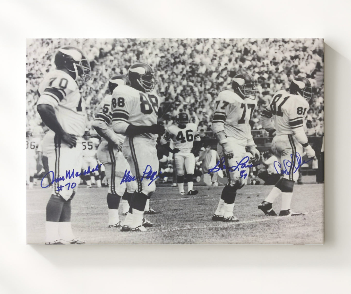 Purple People Eaters - Vikings Wall of Fame football wall art 20x24 Canvas