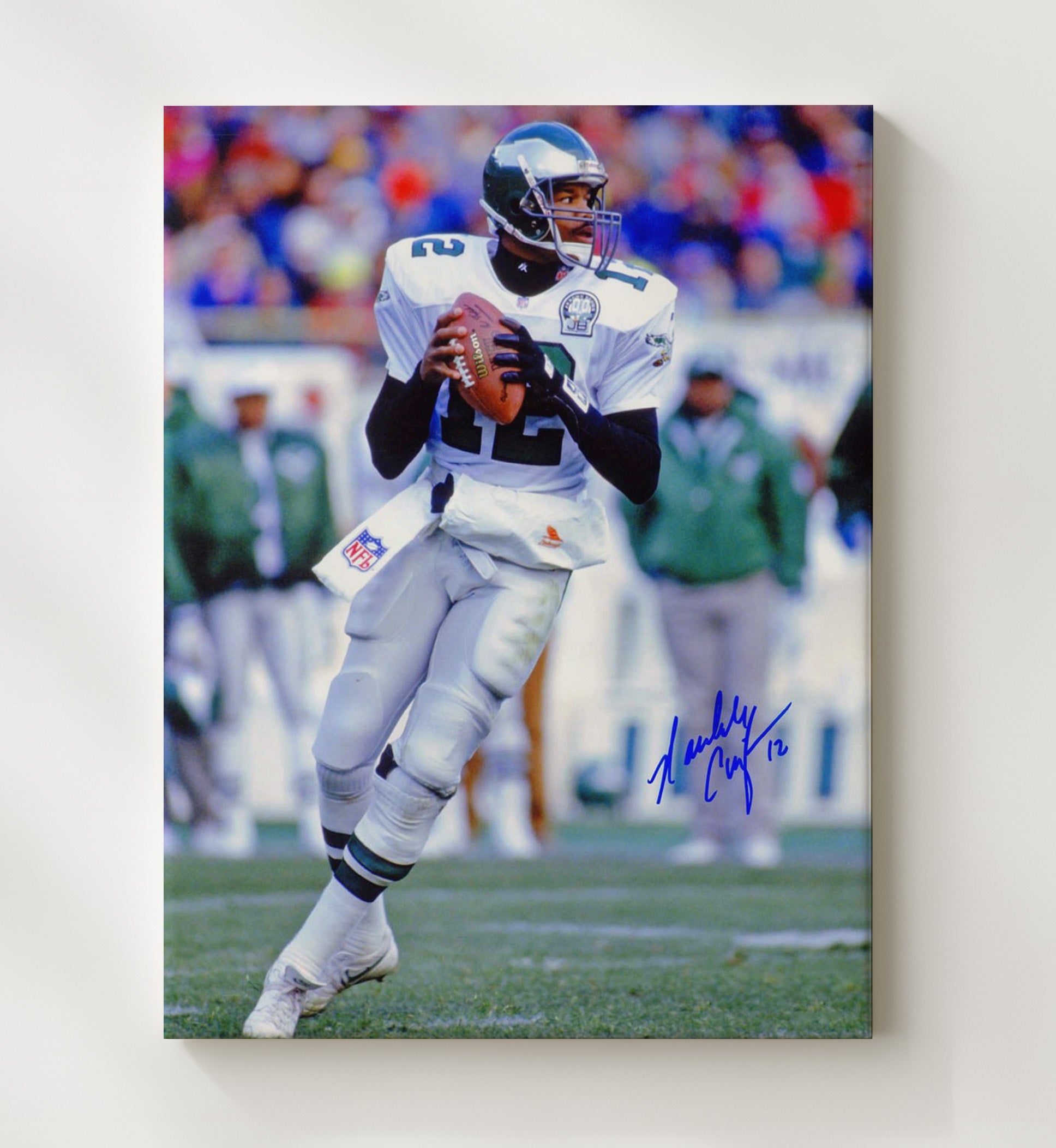 Randall Cunningham - Ultimate Weapon football wall art 20x24 Canvas
