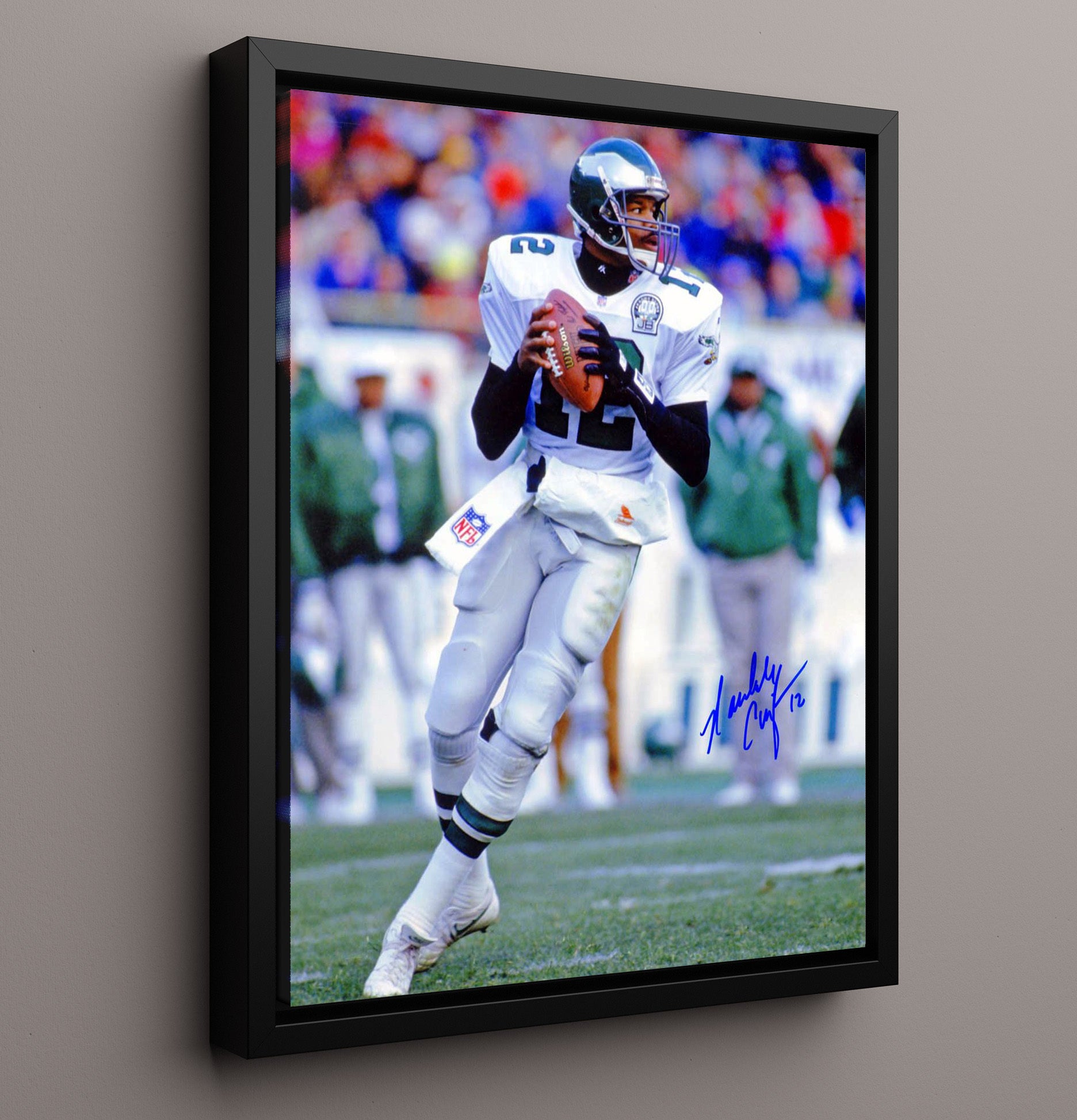 Randall Cunningham - Ultimate Weapon football wall art 16x20 Framed Canvas